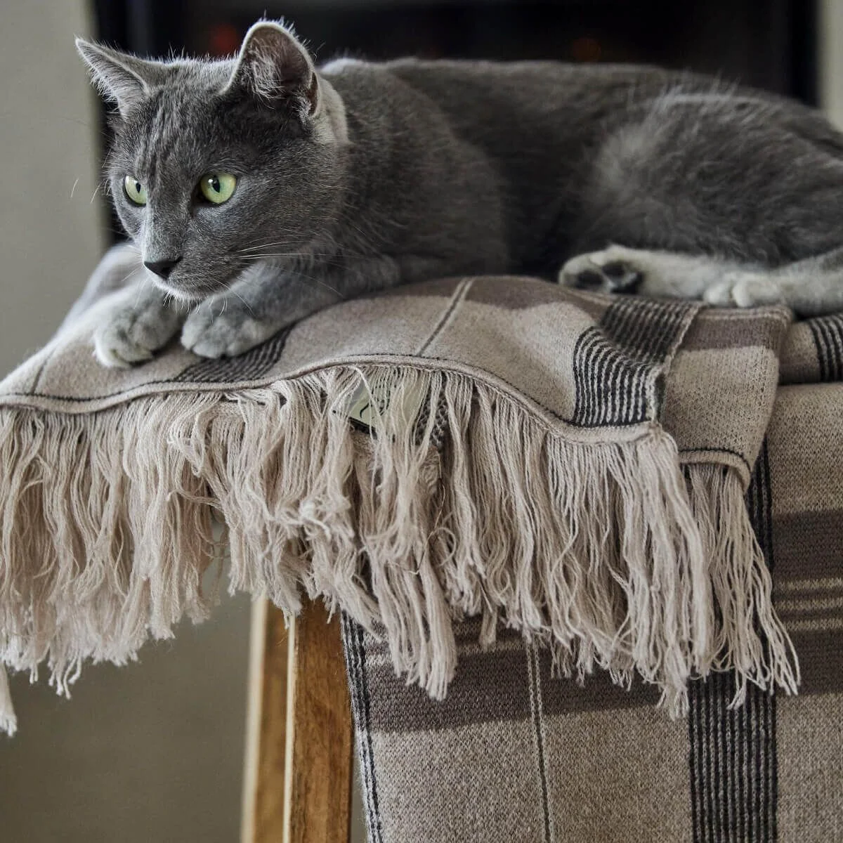 Pure New Irish Merino Wool Throw Blanket – Made in Ireland - Image 15 | Caelmoon